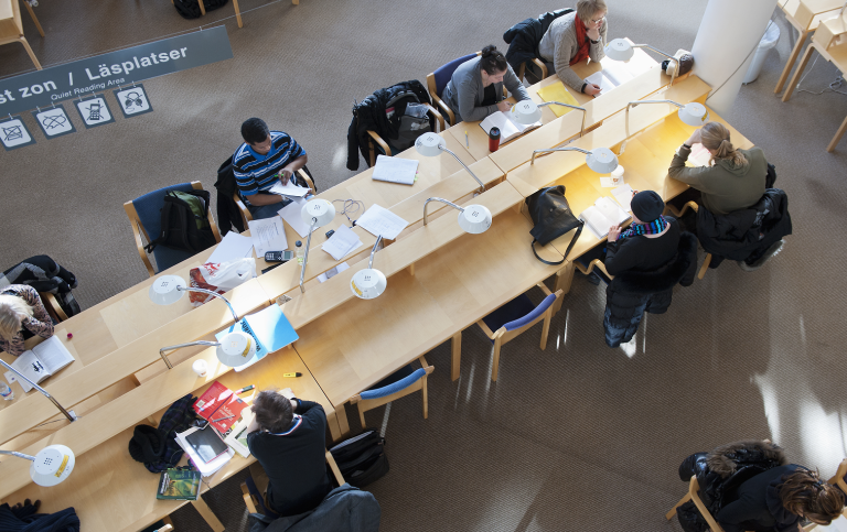 Students studying, view from above.