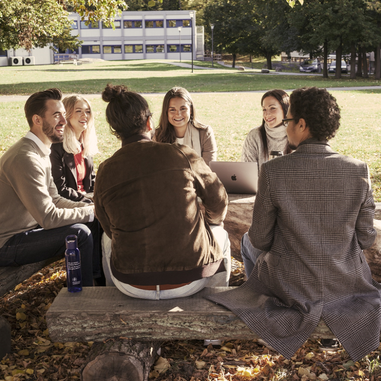 Seven students in conversation on benches on a lawn.
