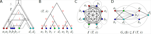 Four graphs with labelled vertices